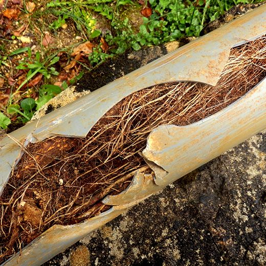 Same Day Drain Sewer & Rooter Pros Across Derry